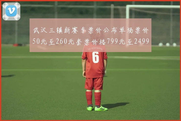 武汉三镇新赛季票价公布单场票价50元至260元套票价格799元至2499元