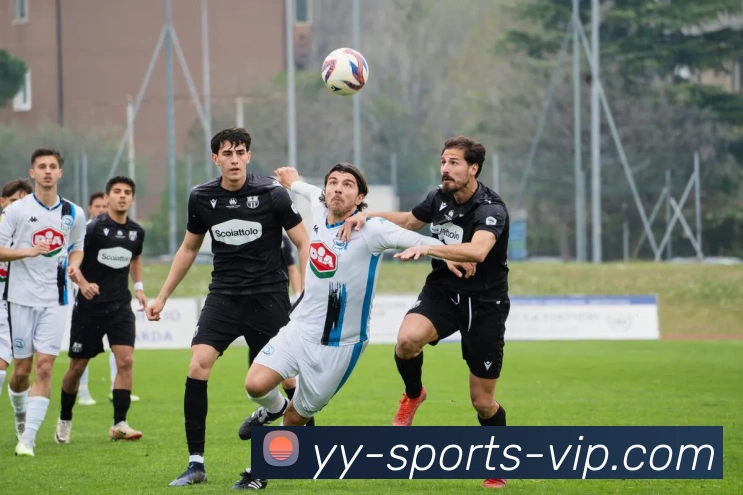 yy体育APP 封面图